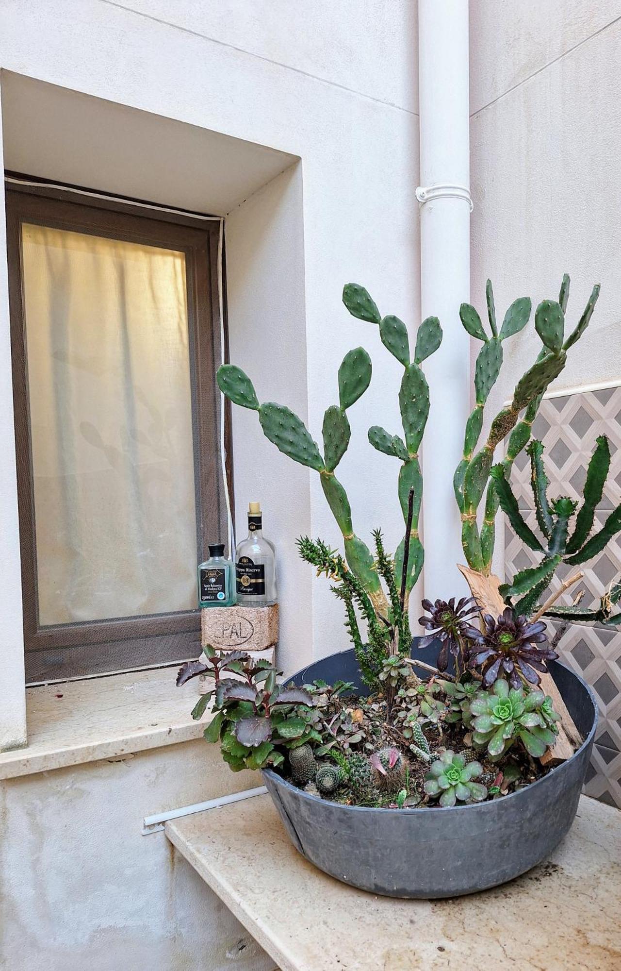 Apartment Living Bouganville Trapani